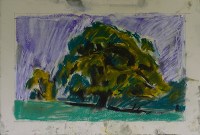 Tree in pastel 2 200x135