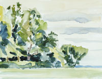RTrees 200x155